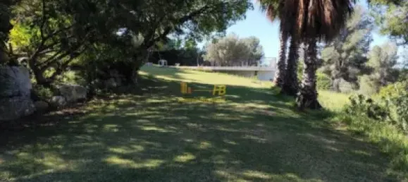 5 Schlafzimmer Haus in Tortosa, Spain, Nr. 164951 22