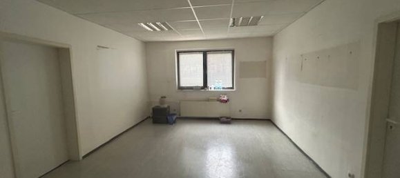 4-Zimmer Büro in Stralsund, Germany, Nr. 29283 8