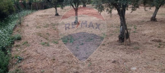 Grundstück in Troviscal, Portugal 2300m², Nr. 74665 7