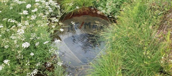 Grundstück in Troviscal, Portugal 2300m², Nr. 74665 10