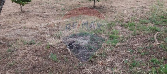 Grundstück in Troviscal, Portugal 2300m², Nr. 74665 8