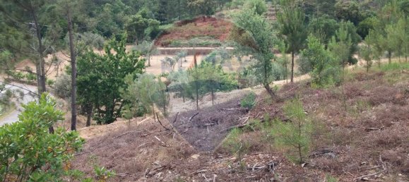 Grundstück in Troviscal, Portugal 2300m², Nr. 74665 11