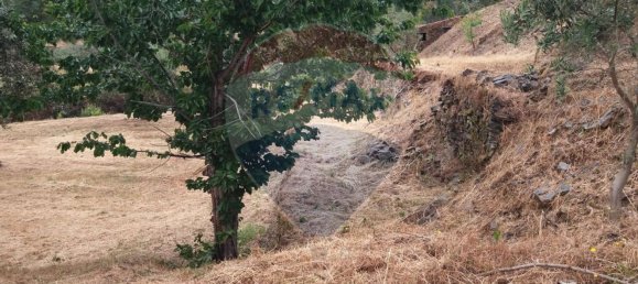 Grundstück in Troviscal, Portugal 2300m², Nr. 74665 6