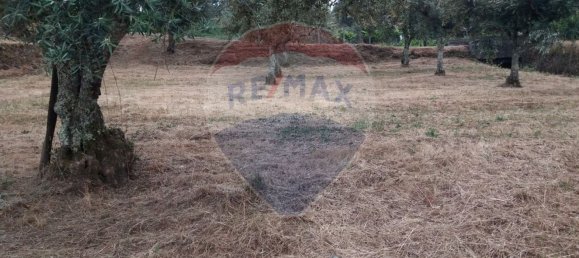 Grundstück in Troviscal, Portugal 2300m², Nr. 74665 9