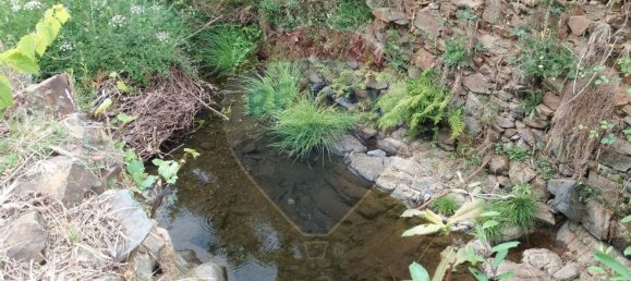 Grundstück in Troviscal, Portugal 2300m², Nr. 74665 3