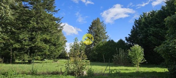 4 غرف نوم منزل في Ourouer-les-Bourdelins, France رقم 233384 2