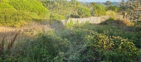 4 chambres Maison à Sao Martinho do Porto, Portugal No. 16170 10