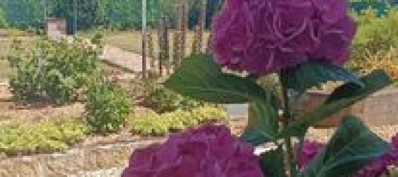 2 bedrooms House in Auxerre, France No. 302212 18