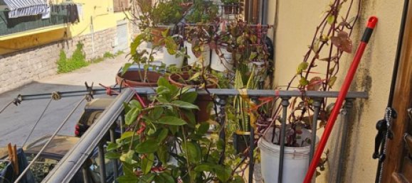 3-Zimmer Wohnung in Palermo, Italy, Nr. 83604 36