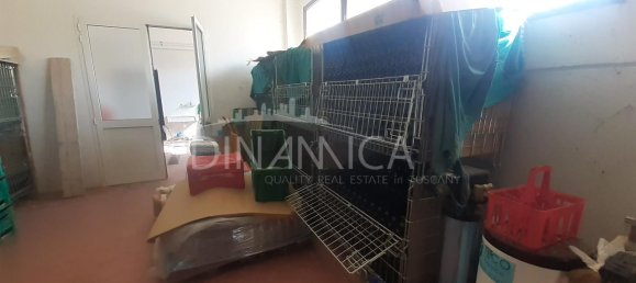 Casa de 8 divisões em Casciana Terme Lari, Italy N.º 230756 42