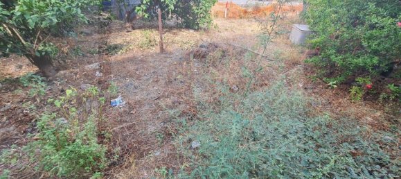 Terreno en Santa Teresa di Riva, Italy 482 m² No. 27966 11