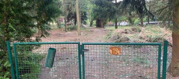 Terrain à Wittenberg, Germany No. 147934 33