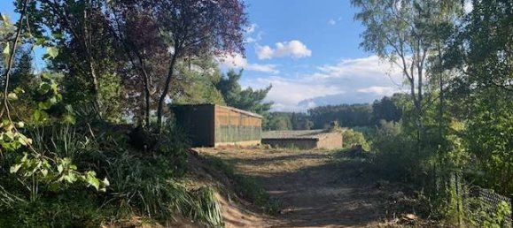 Terrain à Wittenberg, Germany No. 147934 8