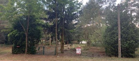 Terrain à Wittenberg, Germany No. 147934 34