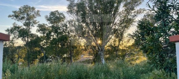 5 bedrooms House in Corte do Pinto, Portugal No. 40477 50