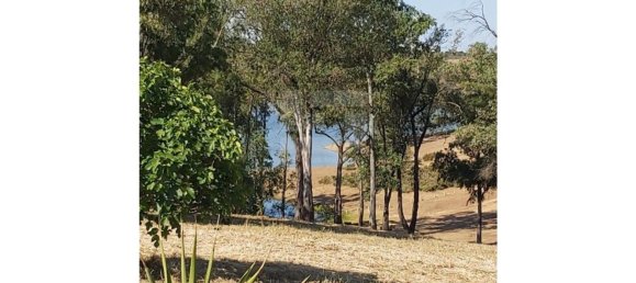 5 bedrooms House in Corte do Pinto, Portugal No. 40477 10