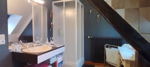 4 Schlafzimmer Schlösser in Orne, France, Nr. 355039 3