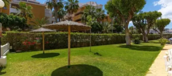 3 bedrooms Apartment in Torrevieja, Spain No. 174789 24