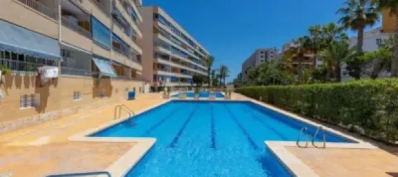 3 bedrooms Apartment in Torrevieja, Spain No. 174789 23