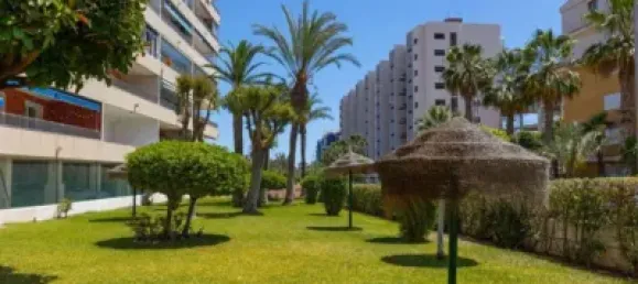3 bedrooms Apartment in Torrevieja, Spain No. 174789 19