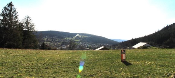 Grundstück in Xonrupt-Longemer, France, Nr. 66934 6