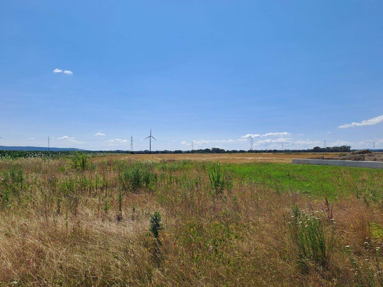 Terrain à Pottendorf, Austria No. 133367