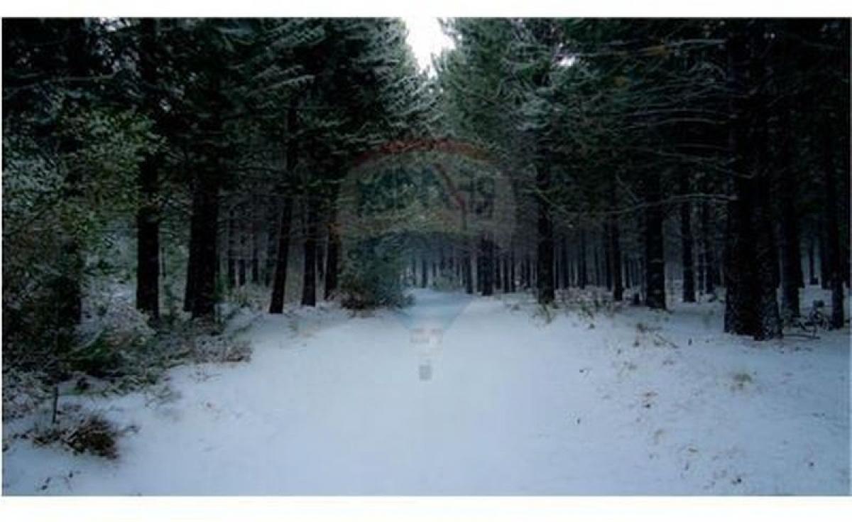  Land in San Carlos de Bariloche, Argentina No. 45049