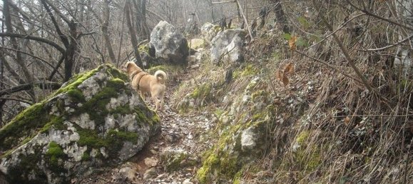 Terreno em Gavardo, Italy 21000 m² N.º 256281 2