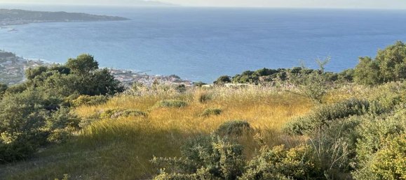 Terra em Zakynthos, Greece N.º 8929 21