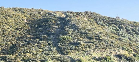 Hôtel à Zakynthos, Greece No. 8929 15