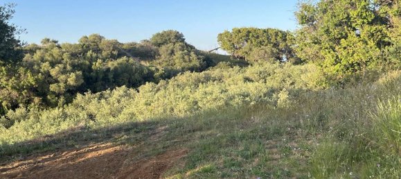 Terra em Zakynthos, Greece N.º 8929 25