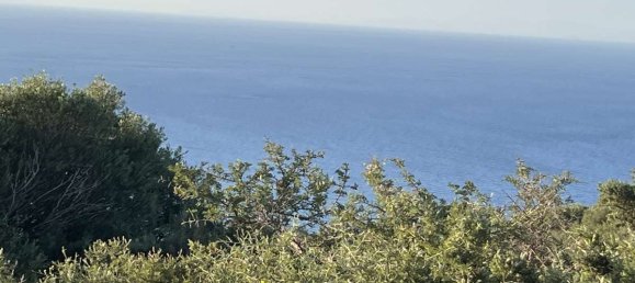 Terra em Zakynthos, Greece N.º 8929 9