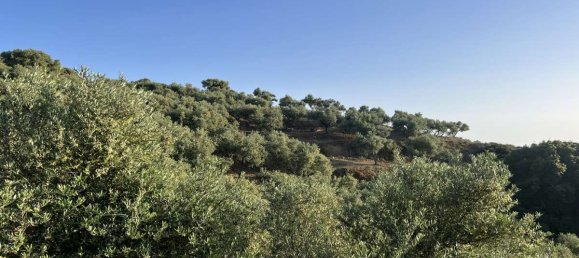 Terra em Zakynthos, Greece N.º 8929 23