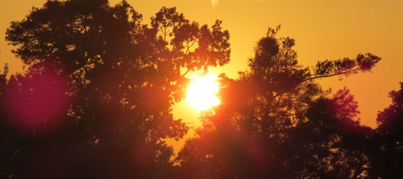 3غرفة شقة في Bergstrase, Germany رقم 234712 10