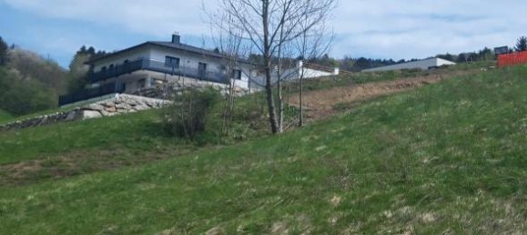 Terrain à Waidhofen an der Ybbs, Austria No. 212628 3