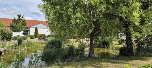 Земельный участок в Люхов-Данненберг, Германия № 318722 4