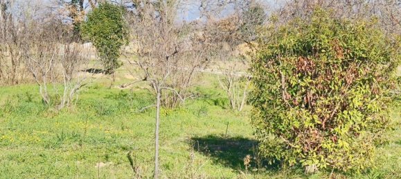 455m² Land in Saint-Alexandre, France No. 98748 14