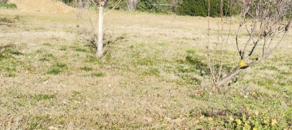 455m² Land in Saint-Alexandre, France No. 98748 11