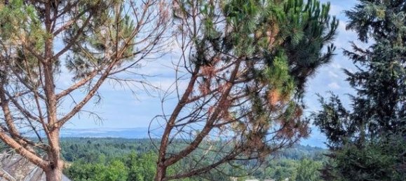 3 Schlafzimmer Haus in Neuvic, France, Nr. 312746 10