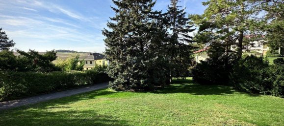 6-salle Châteaux à Leobendorf, Austria No. 157284 22