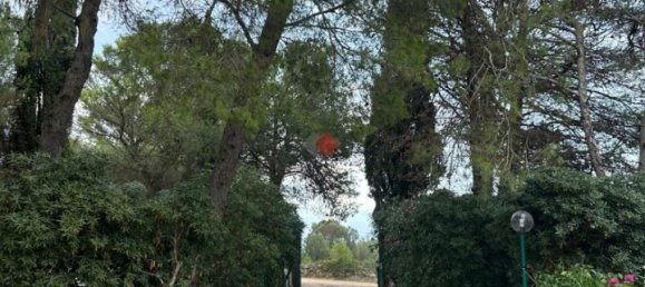 Villa de 5 habitaciónes en Grottaglie, Italy No. 78099 3