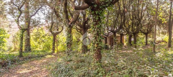 5 rooms Villa in Ariccia, Italy No. 172231 29