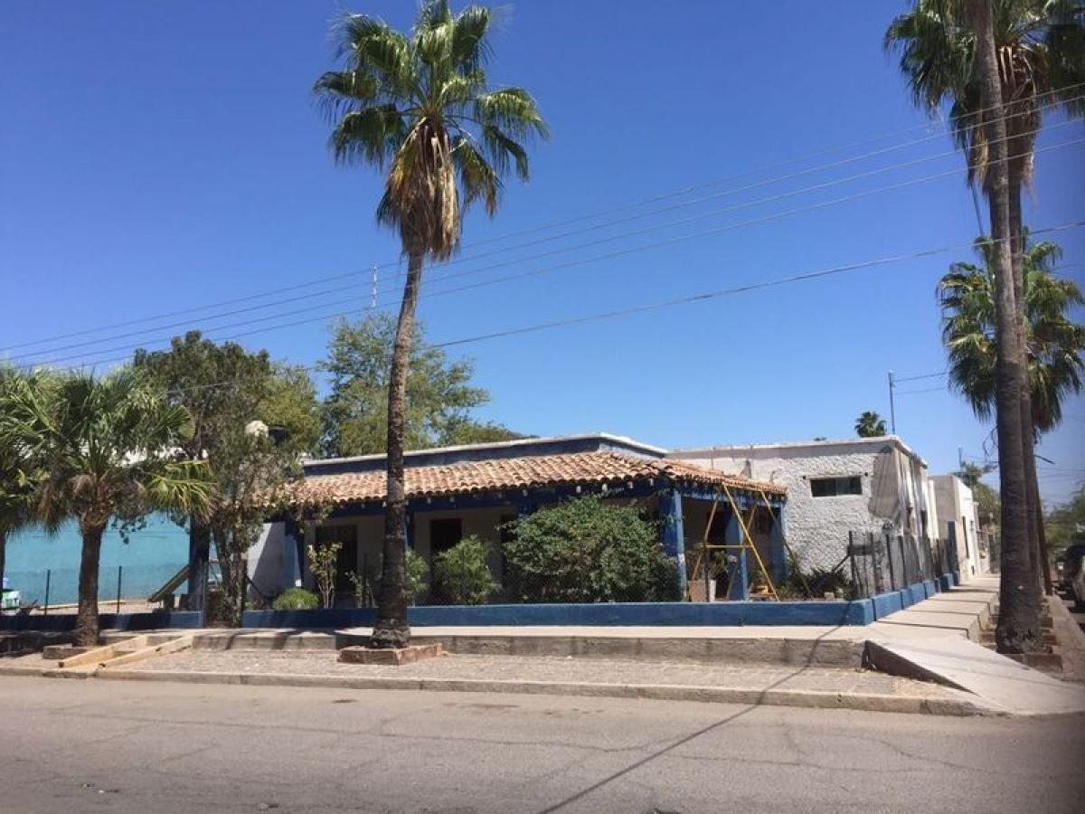 Studio à Sonora, Mexico No. 189907