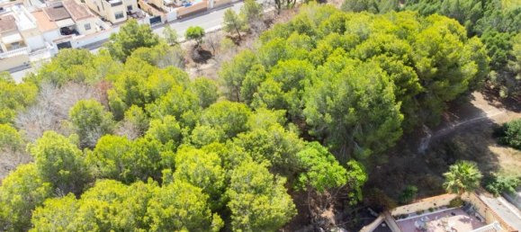 2 bedrooms Villa in San Fulgencio, Spain No. 171460 3