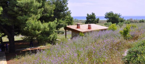 2 bedrooms Villa in Polygyros, Greece No. 7865 11