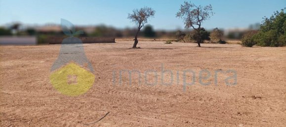 4333m² Land in Armacao de Pera, Portugal No. 88302 7