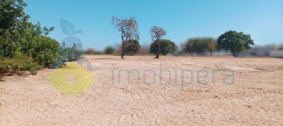 4333m² Land in Armacao de Pera, Portugal No. 88302 14