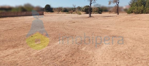 4333m² Land in Armacao de Pera, Portugal No. 88302 8