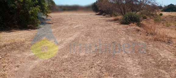 4333m² Land in Armacao de Pera, Portugal No. 88302 6
