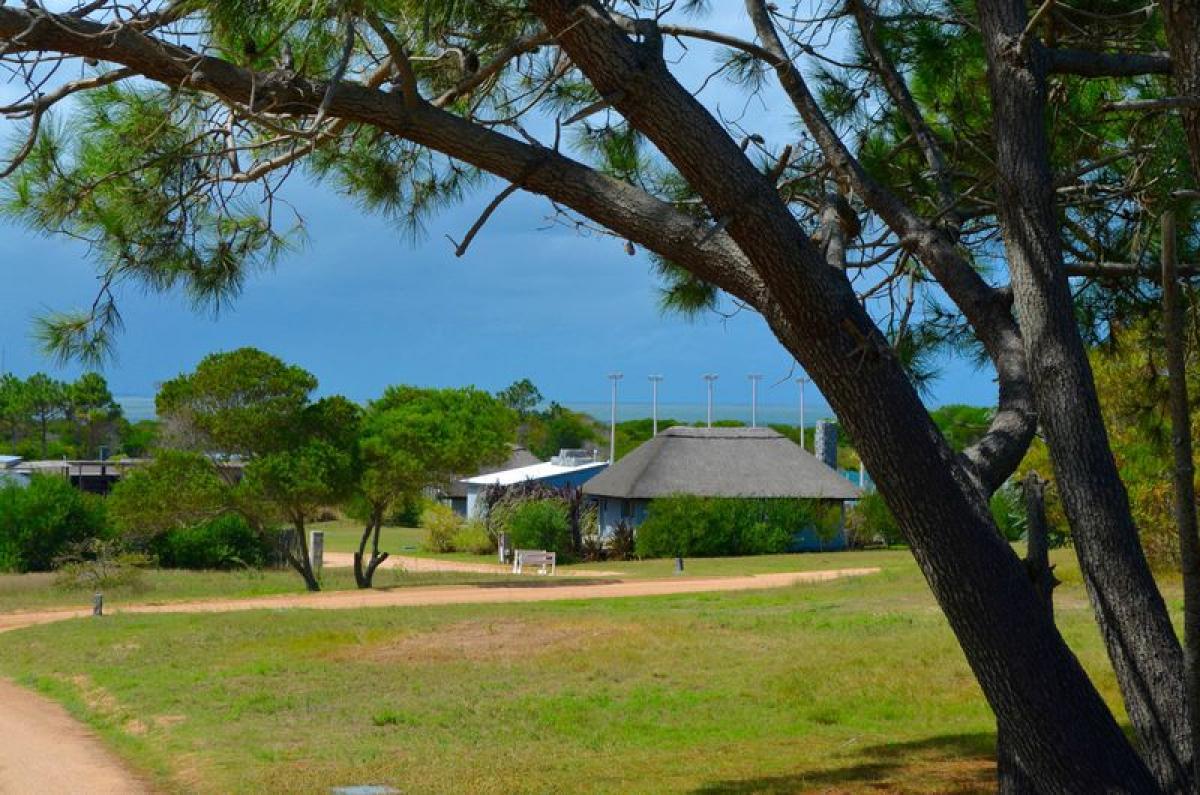 Grundstück in Maldonado, Uruguay, Nr. 15197